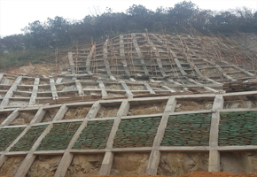 杭州城西營養土種草護山